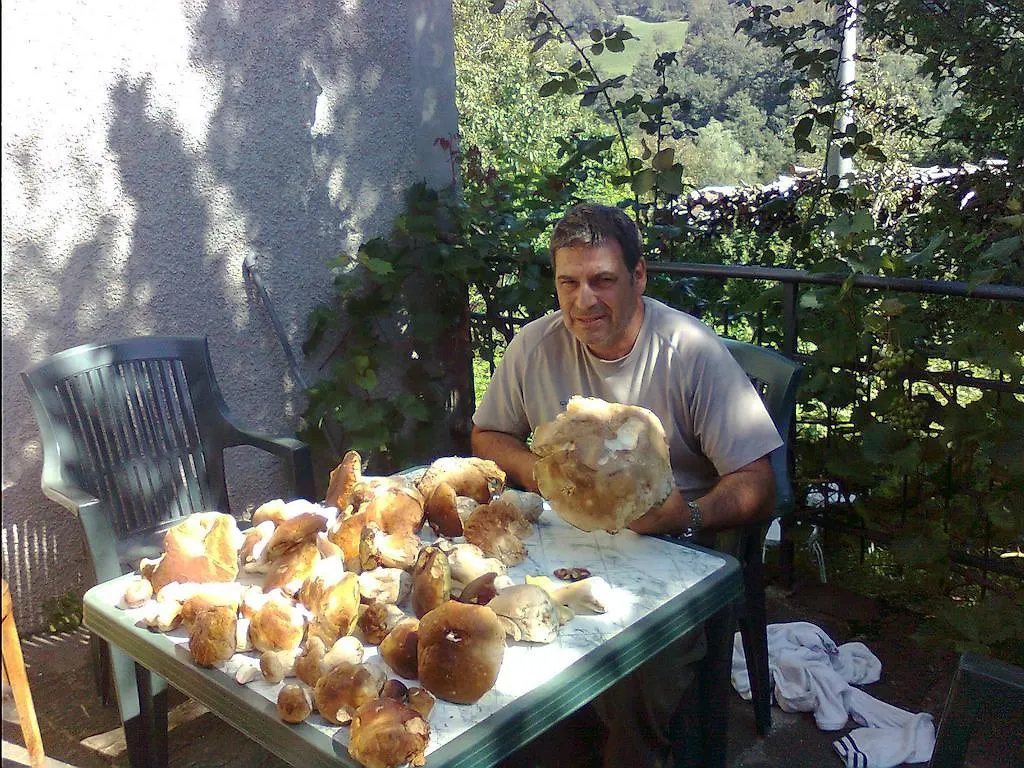 B&B Il Bosco Delle Fate Corniglia Corniglio